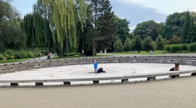 Szeroki kadr parkowej estrady z jedną osobą pośrodku i wierzbami w tle